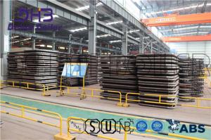 China Customized Reheater In Boiler Emergency Sprayed Firm Structural wholesale