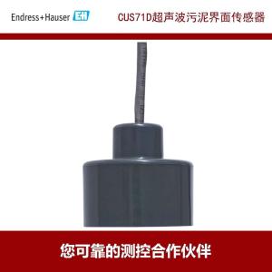 China EMF Turbidity Analyzer Ultrasonic Sludge Interface Sensor CUS51D-AAD1A4 wholesale