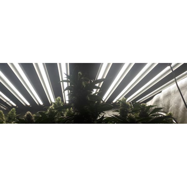 Environmental 2700K RoHS ETL T5 Fluorescent Grow Light For Microgreens