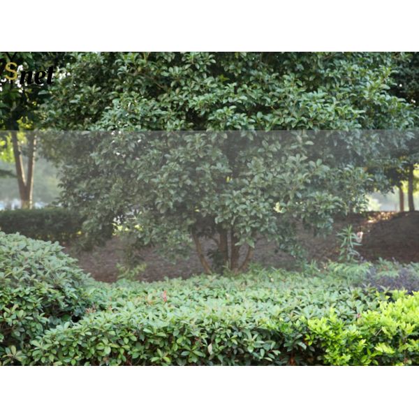 Fiberglass Window Fly Mesh Screen Insect-Proof Mosquito Net Roll Fiberglass Insect Habitat Mesh Fiberglass Door Insect Screen