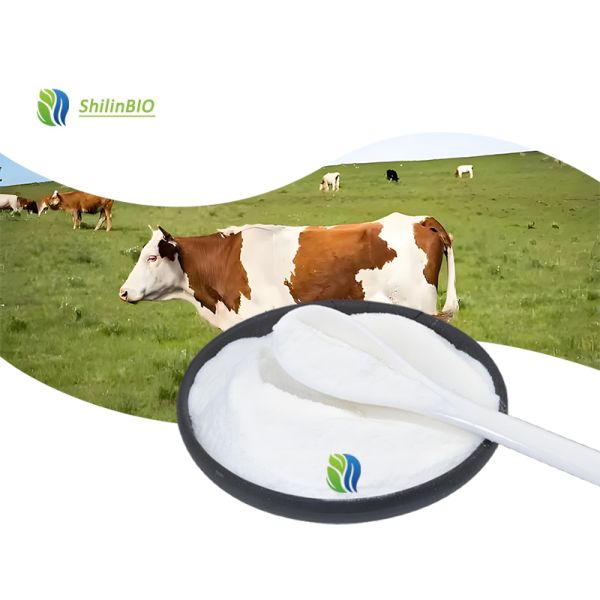 Wholesale High-Purity 95% Bovine Skin Collagen Peptides Hydrolyzed Collagen Powder