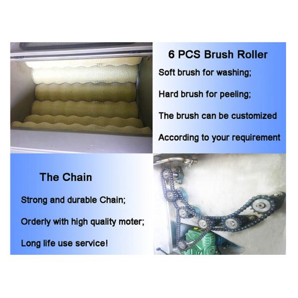 Big Model Vegetable And Fruit Peeling Machine Spiral Brush Roller Type