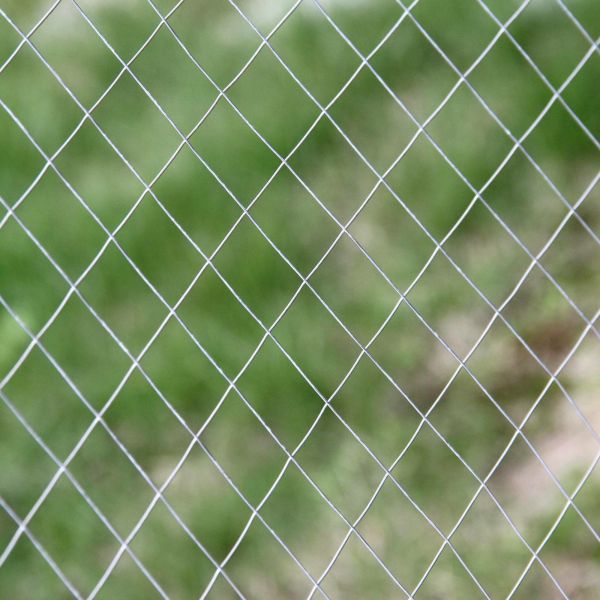 1"X1" Chicken Mesh Fence