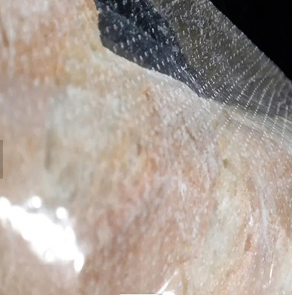 Vegetables Plastic Bread Bag Micro Perforated Bags Eco Friendly Waterproof