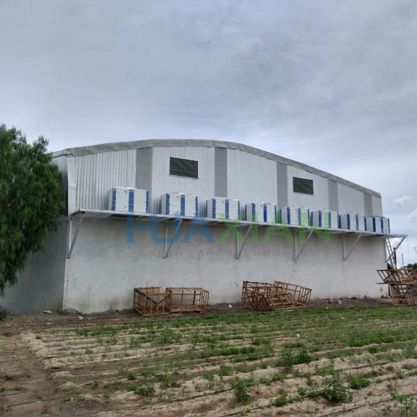 0 Celcius Walk in Freezer Chiller/Cool/Cold Storage Room Warehouse for Fresh Onion/Potato/Fruit/Vegetable