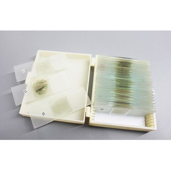 China Shockproof 24pcs Rock Microscope Slides For Educational Lab wholesale