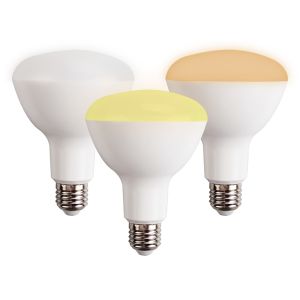 China BR30 Sigmesh dimmable bulb wholesale