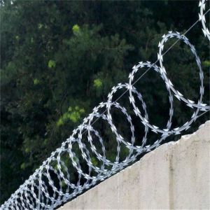 China 450mm Diameter Barbed Razor Wire For Protective Construction wholesale