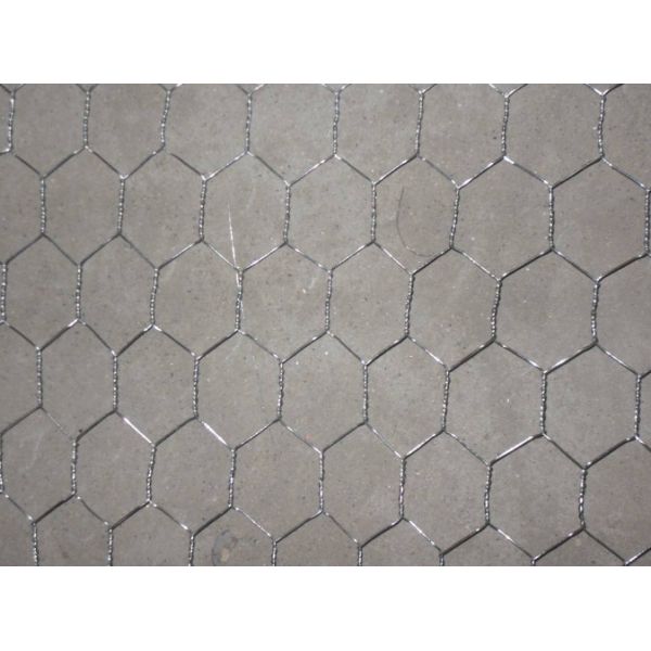BWG16 Galvanized Hexagonal Wire Mesh , W1m Rabbit Wire Netting