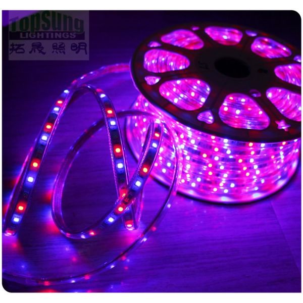 100m 230v AC led strip 5050 waterproof cuttable strips lights flexible blue color