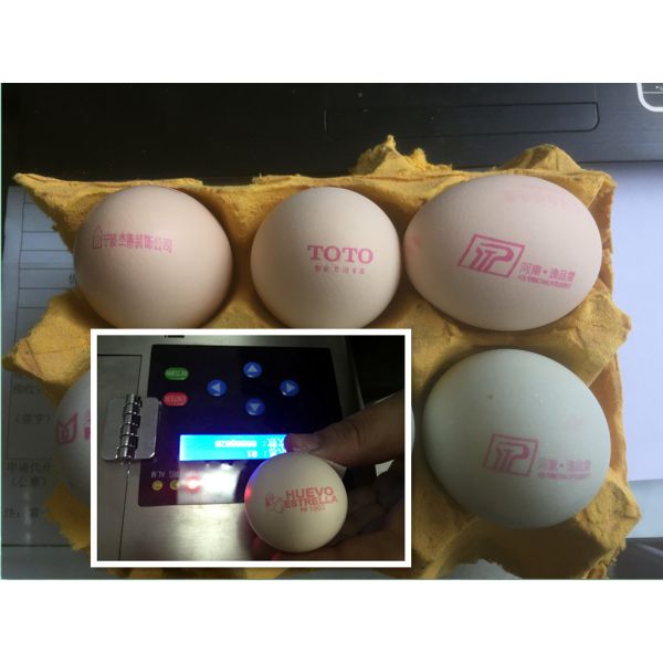 Food Grade Reliable Egg Marking Equipment With Environmentally Friendly Edible Ink