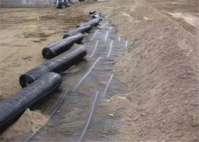 Pp Grille 6 Meters Width Plastic Geogrid Mesh Protective Soil