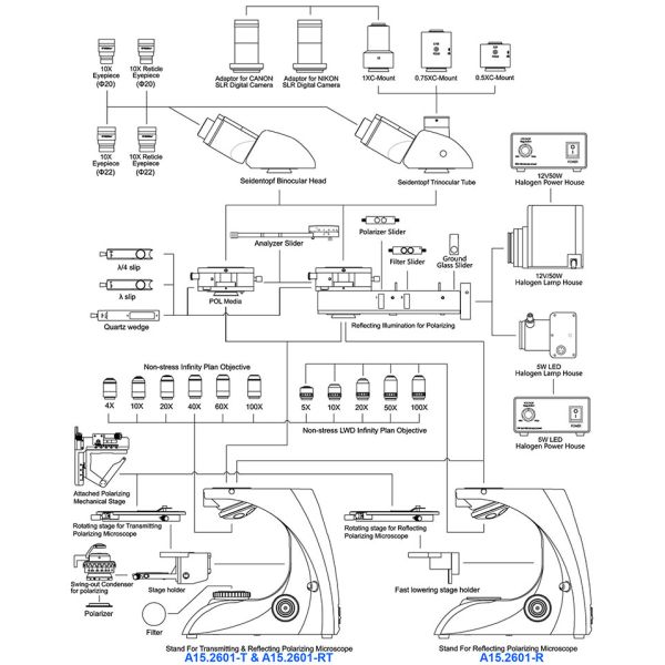 Polarizing Microscope Transmitting Light