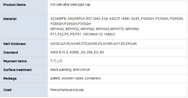 1/2"-48" Oil Well Drilling Tools Stainless Steel Pipe Cap With API Certification