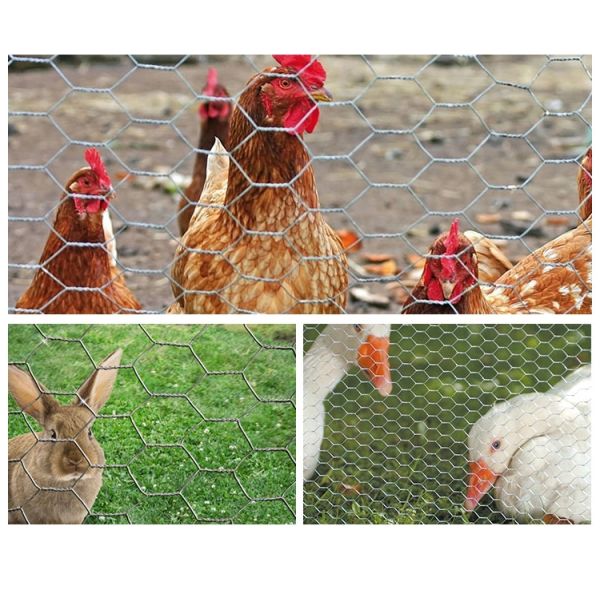 Galvanized Iron Chicken Hexagonal Wire Mesh For Poultry Fencing / Garden Protection
