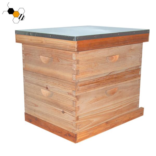 Quality Moisture Proof Wooden 10 Frame Langstroth Bee Hive for sale
