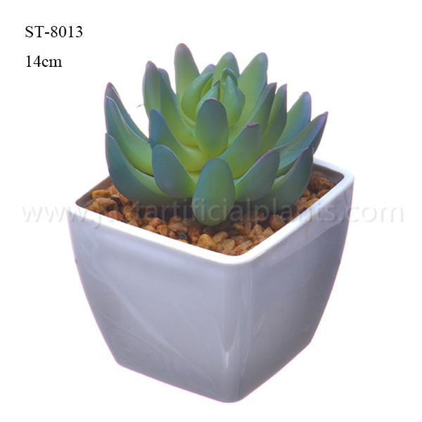 China Natural Looking Artificial Succulents Plastic Potted Table Plant Ornamental wholesale