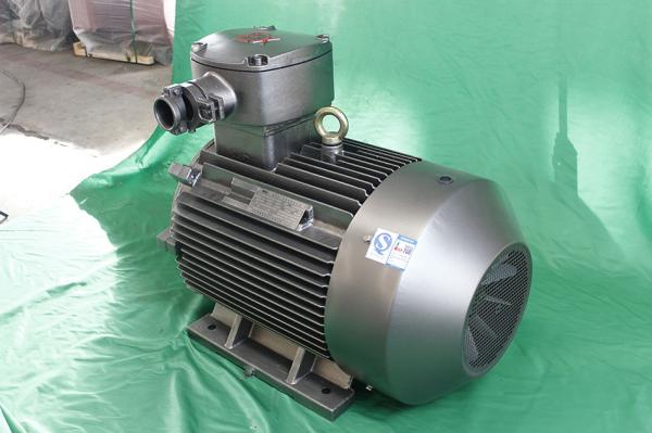Quality IP55 18.5kW Explosion Proof Electric Motor YBX3 180M-4 3 Phase Induction Motor for sale