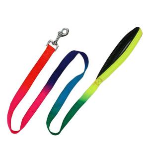 China Nylon Elastic Pet Traction Rope Dog Collars Leashes With Neoprene Padded Handle on sale