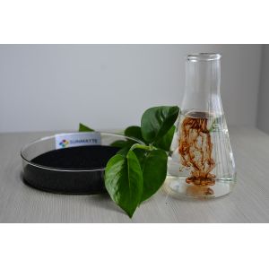 China Mineral Sourced Fertilizer Potassium Humate Powder 99 wholesale