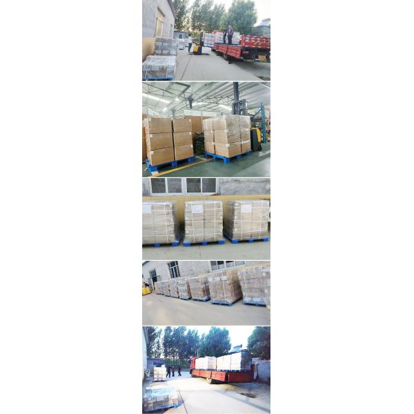 AN3 Braided PTFE Hose Lines PVC Coated Cover For Power Steering