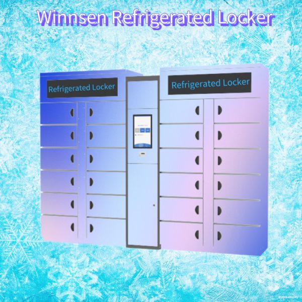 OEM ODM Smart Refrigerated Locker 100V Cabinet Meat Smart Frozen