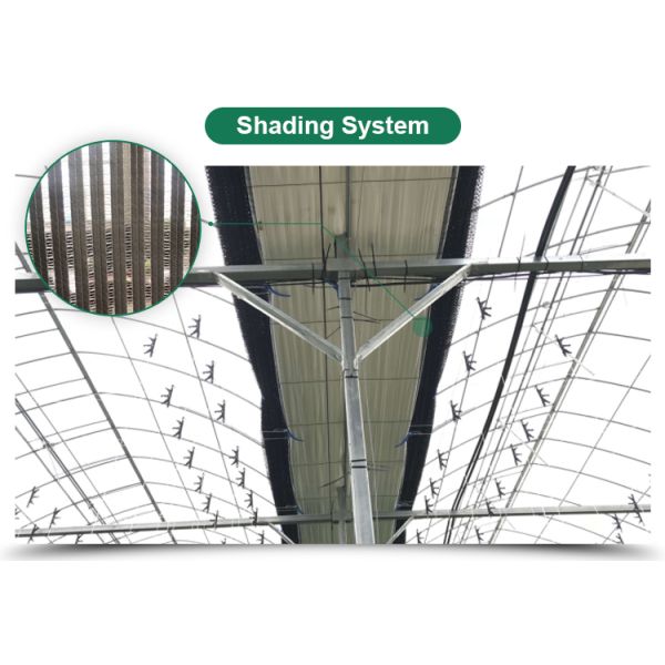 Agricultural Commercial Grass Greenhouse with Electrical or Water Heating System