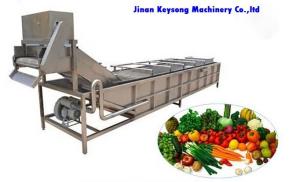 China Fresh Fruit And Vegetable Processing Machinery Cleaning Equipment High Efficiency wholesale