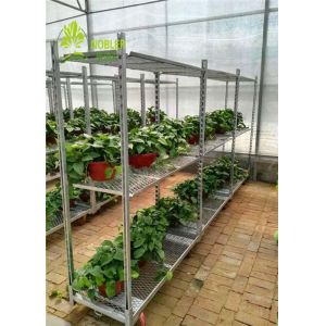 China Nobler Danish Container Equipment Galvanized CC Flower And Plant Trolleys wholesale