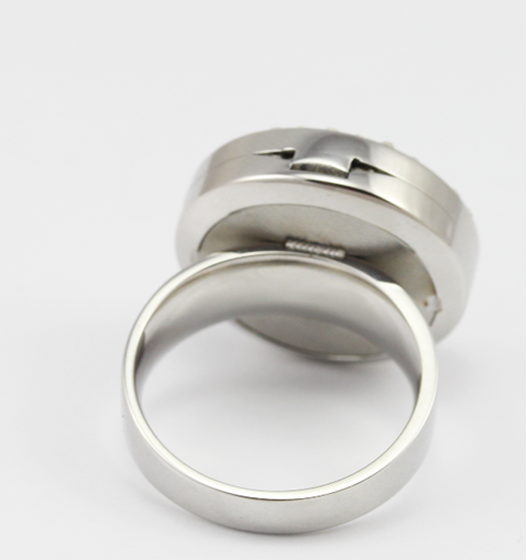 316L Stainless Steel Floating Charm Memory Living Locket Ring TGLR011