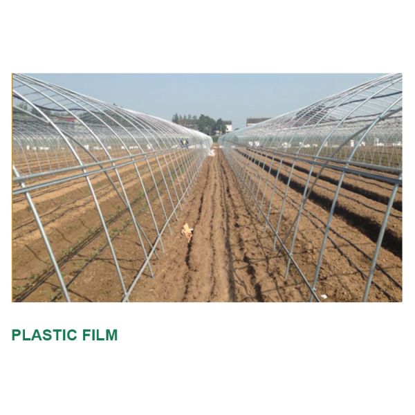 Backyard Tomato Plant Growth High Tunnel Greenhouse Frame with Film Cover Material
