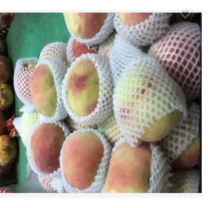 Automatic plastic foaming net set machine Fruit net set machine
