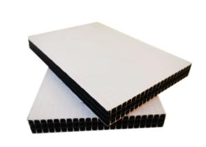 China Slab Construction Plastic Construction Formwork Concrete Wall 12mm 15mm 18mm on sale