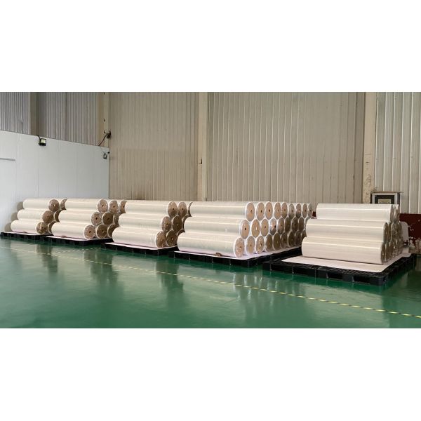 Non Woven Polypropylene Spunbond Fabric