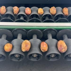 Seamless Integration Date Sorting Machine With State Of The Art Technology