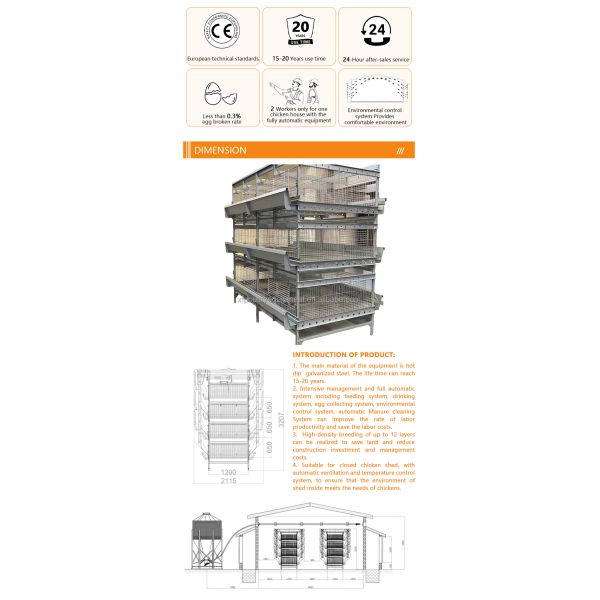 Poultry Farm Automatic Equipment Multi Tiers Pullet Layer Egg Hen Chicken Cage Day Old Baby Chickens Pullet Chicken Cage