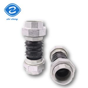 Flexible Double Bellows Expansion Joint Flange Connection ZCH