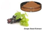 25% Anthocyanins Pure Grapeseed / Grape Skin Extract Powder