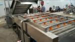 Full Automatic Apple Processing Equipment , Fruit And Vegetable Washer Machine