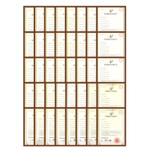 WENLING DINSEN M&E CO.,LTD. Certifications