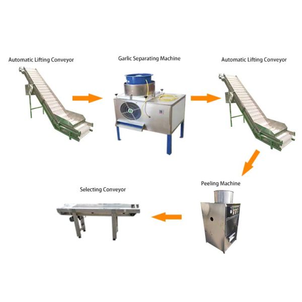 Nitrogen injected peeled garlic production line / garlic peeling line machine price