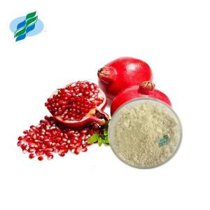 China Water Soluble Pomegranate Peel Extract Ellagic Acid Skin Whitening on sale