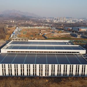 China Prefabricated Steel Cowshed Structure with 50-Year Lifespan wholesale