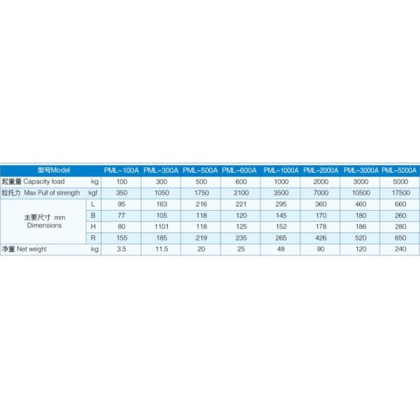 PERMANENT MAGNETIC LIFTER