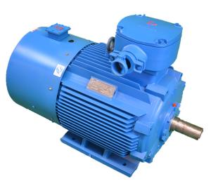 IMB3 315kW Variable Frequency Three Phase Asynchronous Motor YBBP 355L2-2