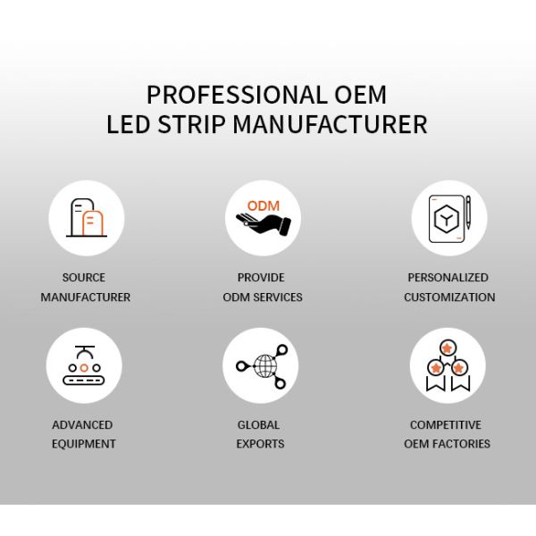 DC24V COB Neon Light RGB LED Strip 5m Roll For Room Ceiling IP67 Waterproof