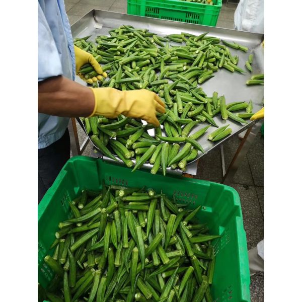 PLC Control Vegetable Chips Making Machine Vacuum Snacks Fryer 50kg-200kg