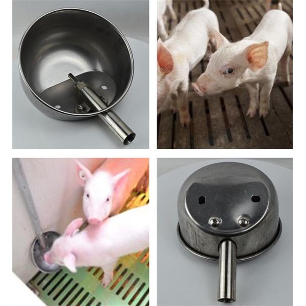 Stainless Steel Poultry Farm Equipment Automatic Drinker Pig Water Drinkers
