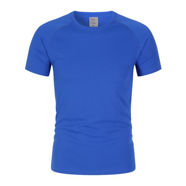 Quality ODM Embroidered 240gsm Round Neck T Shirt Polyester Blank Blue Plain T Shirts for sale