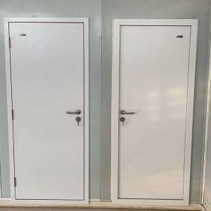 China Tempered Insulating Glass Steel Entry Doors Customizable Anti Theft wholesale